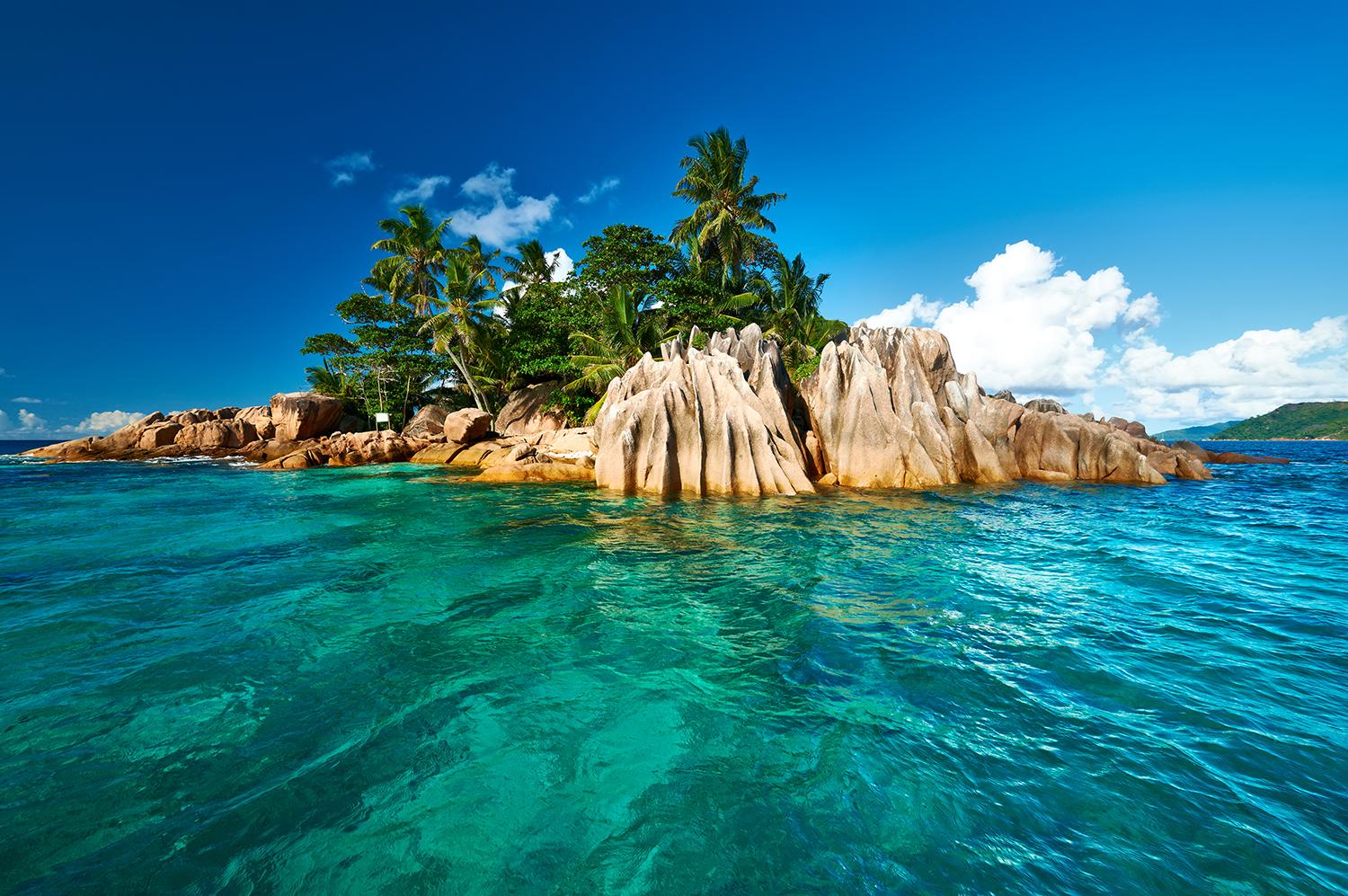 Beautiful palm tree coastline with coral in the Indian Ocean