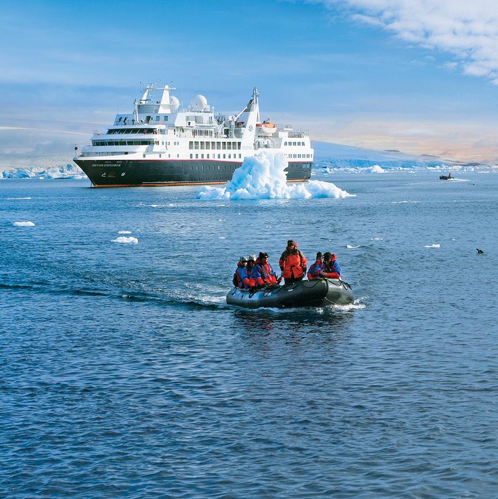 See icebergs and wildlife on your cruise tour
